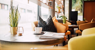 Fruehstueck Lemon Blue City Langschlaeferfruehstueck Brunch Quicky 4